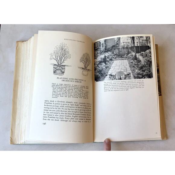 Vintage 1964 City Gardener 1st Ed HC Book Rooftop Terrace Balcony DJ Illus Truex - Picture 10 of 16